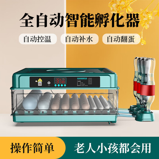 CLCEY chick incubator fully automatic 2024 small household smart rutin duck and goose egg incubator parrot incubator 32 pieces water bed dual electric