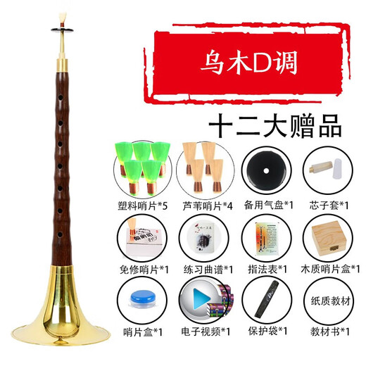 晗畅管艺 唢呐乐器全套演奏红木乌木杆初学者成人民间唢呐锁 D调 红木黄碗[八种配件]