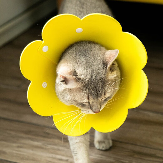 LISM Elizabethan collar for cats and dogs, pet dog and cat headgear collar, S size neck collar, anti-licking and biting neck collar, shame circle, S size, thickened version, suitable for 3-6 Jin Jin is equal to 0.5 kg inner cat