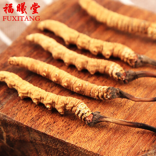 Fuxitang Tíbet Nagqu Cordyceps Cordyceps Precio de gran altitud de 1 Cordyceps Cordyceps 4 raíces/gramo de tamaño de 1 raíz