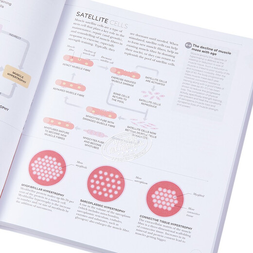 DK Science of Strength Training 英文原版Austin Current