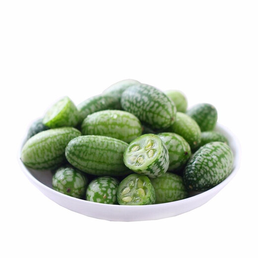 Shouhe watermelon seeds extra large sweet southern spring 8424 unicorn melon early maturing fruit four seasons black skin Shouhe thumb watermelon seeds 50 capsules