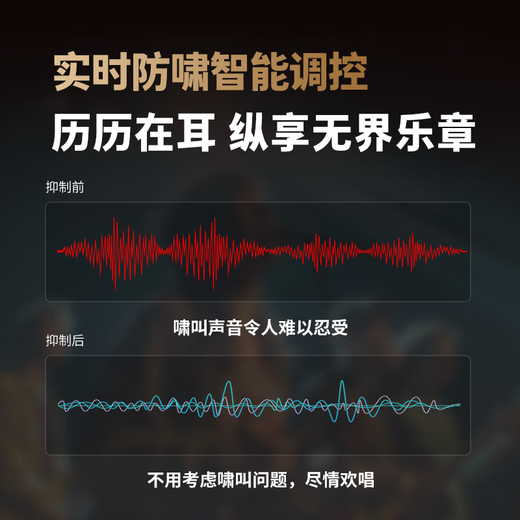 Melody DSP6300 karaoke reverberation digital audio preamp effector home theater anti-howling mixer processor including microphone mixer equalizer DSP6300 deluxe upgraded version (including cable) standard version