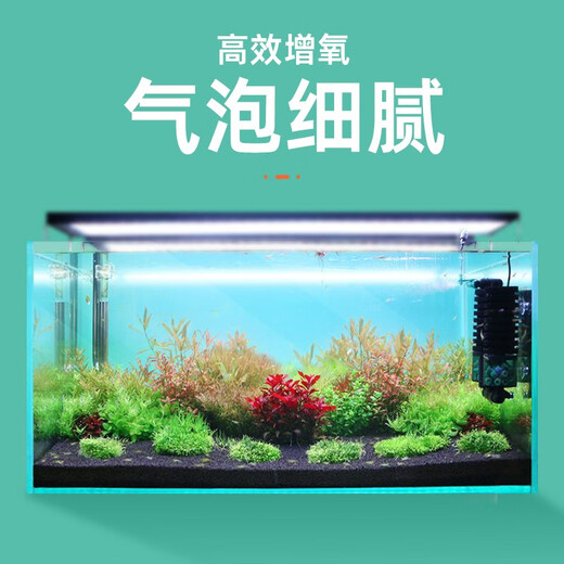 QANVEE electric double-head water fairy crystal shrimp fish tank with oxygenation and air pump-free biochemical sponge small built-in filter DD-200A (5V low-pressure water pump)