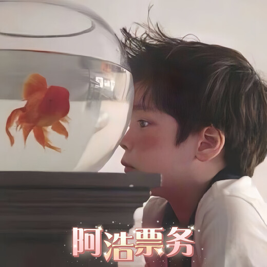 Jingdong Ahao performance ticketing, concert tickets, proxy shooting and information grabbing, dedicated communication and customer service 50 Ahao ticketing, concert tickets, communication and customer service