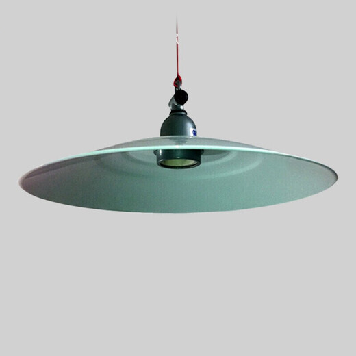 Maixinyi Black Light UV Lamp Purple Lamp Purple Lamp Breeding Trap Lamp Voltage Printing Curing Lamp 40W (220V voltage) Universal