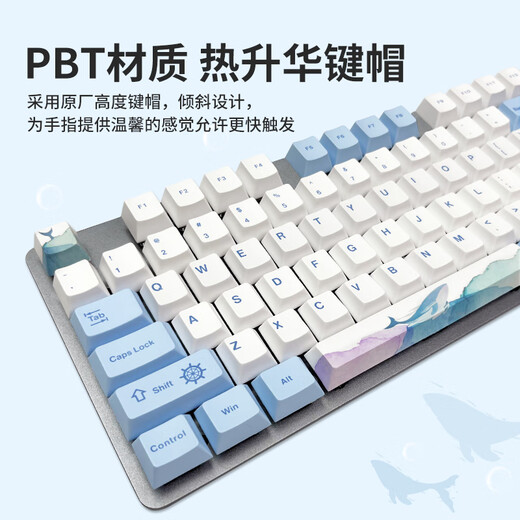 
Logitech K845 mechanical keyboard Gaming keyboard Office keyboard Wired full-size office and home backlight e-sports chicken-eating keyboard K845-Red axis-Whale Lost