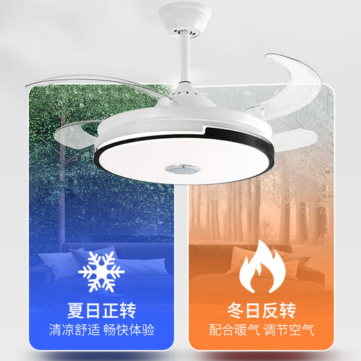 隐形风扇灯现代简约餐厅吊扇灯客厅卧室家用风扇吊灯批发定制 6623白-42寸变频遥控