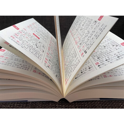 Student Dictionary (Large Character Edition)