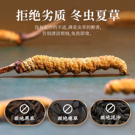 内廷上用【北京同仁堂10g黄金草】冬虫夏草10g约30-50根滋补品父亲节礼物