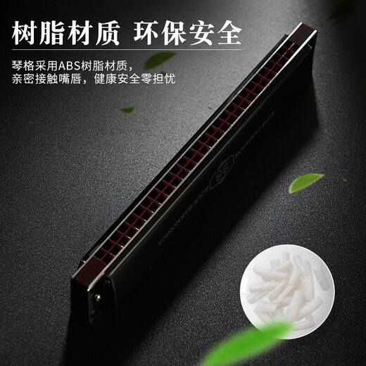 天鹅德国进口音簧复音口琴重音高端成人专业演奏级乐器长辈送礼 28孔 金色复音C调 【专业演奏级】