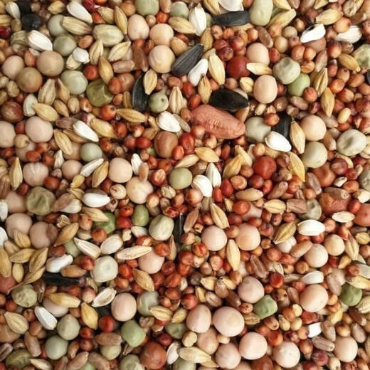 New pigeon food nutrition contains corn 10kg bird food homing pigeon white adult young pigeon ornamental pigeon corn-free pigeon food 20Jin Jin is equal to 0.5 kg