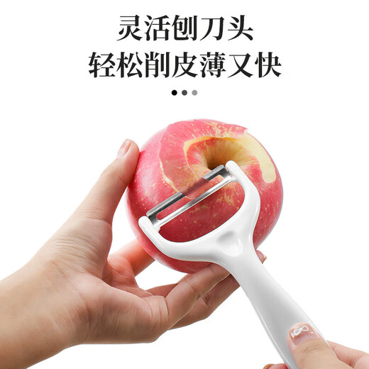 拜格 婴儿辅食工具儿童菜板辅食剪刀餐具水果刀削皮器辅食刀具套装 恐龙菜板+菜刀+水果刀+剪+瓜刨