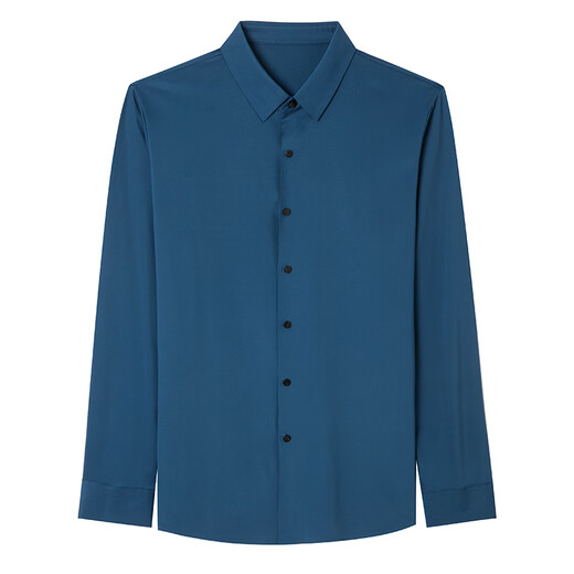 Romon seamless shirt men's spring, autumn and winter no-iron drape plus velvet warm shirt no-iron elastic business casual dad upper cyan regular XL 175 recommended 135-150Jin Jin equals 0.5 kg
