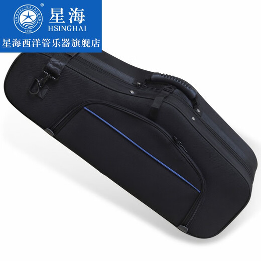 星海（XINGHAI INSTRUMENT）【大咖推荐】专业演奏中音萨克斯 降e调XAS-180 成人儿童初学考级 XAS-180【配件齐全】收到即用