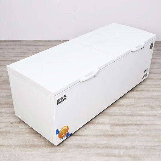 Xueshixi Commercial Kühlschrank Gefrierschrank Horizontale Kühlung mit großer Kapazität und Gefrierdoppelpurpulse Super großes Kupferrohr Gefrierschrank Doppeltemperatur Kühlschrank großer Kapazität Kühlschrank 828 Einzeltemperatur Kupferrohr-Upgrade-Modell (Länge 1,7 Meter)