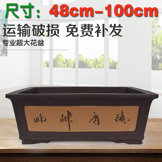 墨春(MOCHUN) 长方形花盆特大号盆栽盆景紫砂花盆室外园艺绿植长型陶瓷花盆超大庭院阳台种菜花盆 701黄长方 长70宽51高26
