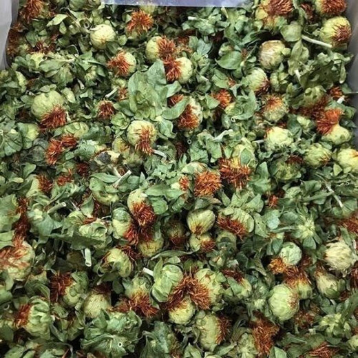 Yourentang Tibetan saffron saffron saffron saffron saffron saffron saffron saffron saffron saffron saffron saffron saffron saffron saffron saffron saffron saffron saffron saffron saffron saffron saffron saffron saffron saffron saffron saffron saffron saffron saffron saffron saffron