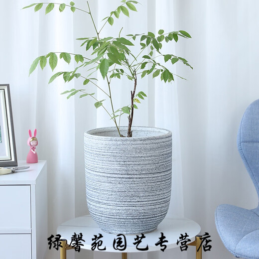 陶瓷北欧花盆蝴蝶兰绿萝加厚简约大号落地创意拉丝圈绿植盆栽章 694绿结晶 特大