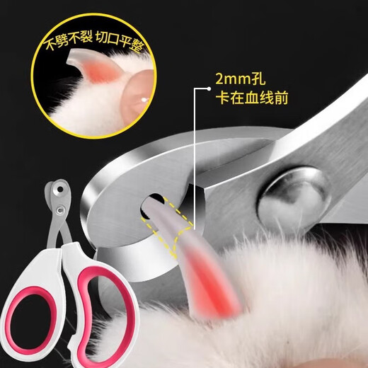 Yile Pet Cat Grooming Special Comb and Brushes Cat Supplies Collection Nail Clipper Cat Gloves Cleaning Dog Hair Remover Artifact Nail Clipper