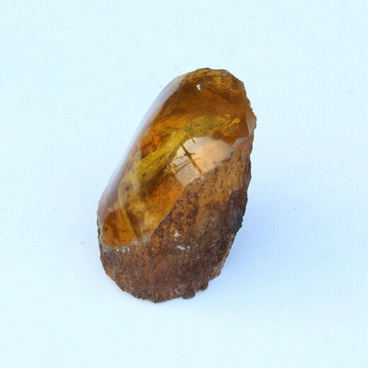 Artificial amber specimens, small animal living raw stones, real gecko lizards, beeswax amber fossil ornaments, picture color