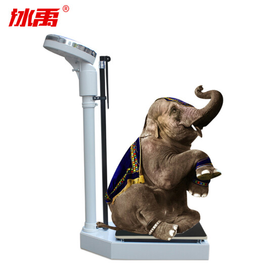 Bingyu RGZ-160 height and weight scale health scale human scale hospital scale physical examination machinery pharmacy scale 160KG height and weight scale (Jiangsu, Zhejiang and Shanghai)
