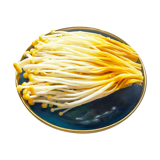 Golden Needle Mushroom 200g