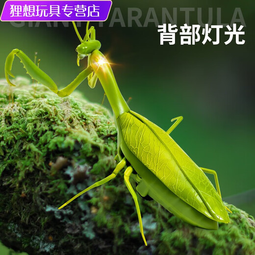 Shantoulin Village Пульт дистанционного управления Mantis Electric Toy Scrank Artifact Tockroach Boy движется к паукам