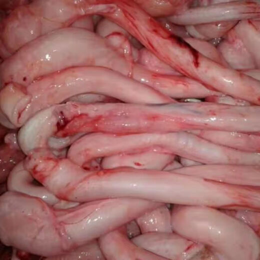 Xuankorui fresh pig whip, fresh pig whip, freshly killed pig whip, barbecue material, pig hanger, free range native pig whip, fresh and confidential delivery, farmer free range pig whip, 3 Jin Jin is equal to 0.5 kg