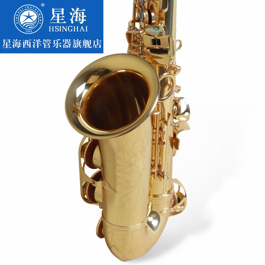 星海（XINGHAI INSTRUMENT）【大咖推荐】专业演奏中音萨克斯 降e调XAS-180 成人儿童初学考级 XAS-180【配件齐全】收到即用