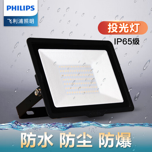 Philips LED floodlight outdoor waterproof advertising light Mingxin outdoor light lighting courtyard floodlight 10W (6500K white light)