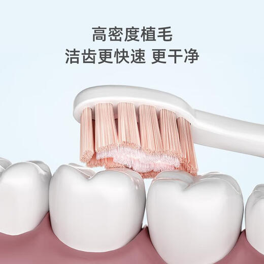 FLYCO Electric Toothbrush Head Compatible Model FT7105/FT7106/FT7205 TH01 Ice Crystal Blue 1 Pack