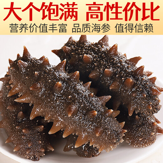 Three Dolphins Ready-to-Eat Sea Cucumber Dalian Sea Cucumber Single Package Liao Apostichopus Apostichopus Fresh Sea Cucumber 8-12 Pieces 500g