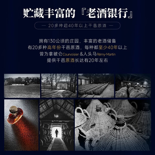 路易马西尼（Louis Marsyney）派斯顿法国进口洋酒XO白兰地40°烈酒礼盒装（原酒进口）秘密 700mL 1瓶 *6（整箱装）