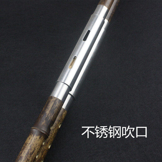 Sangluo Double-tube Bawu Yunnan Sangluo Zizhu débutant jouant à large gamme Instrument de soufflage horizontal C Tune G /