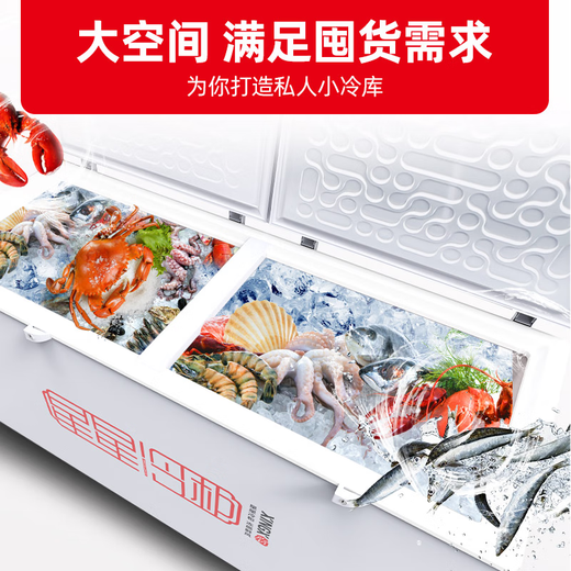 Xingxing (Xingx) Réfrigérateur de congélateur à grande capacité horizontal commercial, réfrigération à la conversion de réfrigération et congélation à haute température, réfrigération à haute efficacité de première efficacité énergétique de premier niveau, magasins, supermarchés, dépistage de la crème glacée [BC-728GE