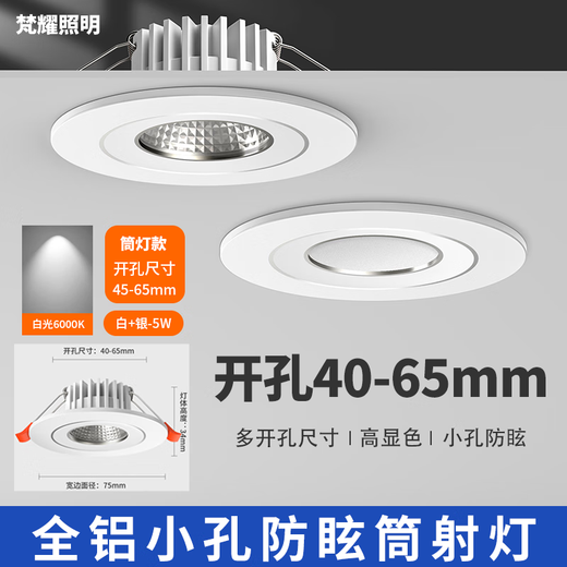 Fanyao LED small downlight 40-65mm opening wine cabinet hole light cob anti-glare embedded main light 5w-white light