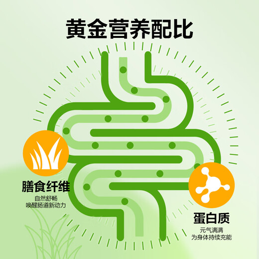 ISDG Japanese green juice 60 pieces * 3 boxes high dietary barley leaves meal replacement powder fruit and vegetable drink large capacity green juice powder