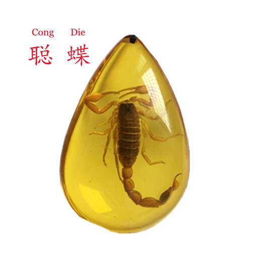 Congdie real insect amber water drop neck pendant scorpion butterfly necklace men and women jewelry spider bee rough stone butterfly double-sided polished pendant