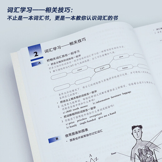 Cambridge English in Use series complete set of grammar + vocabulary + idioms + idiomatic collocations + phrasal verbs (Cambridge English in Use series Chinese version, set of 19 volumes in total)