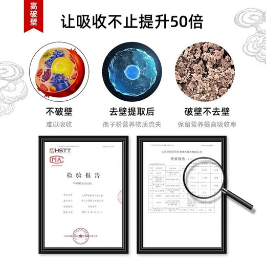 
Dasheng Breaking Wall Ganoderma lucidum Spore Powder 2g*90 packs to stock up to replenish immunity, send elders to give to lovers to nourish the gifts half a year package [2 pieces]