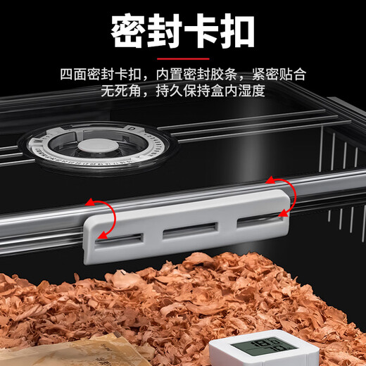 CIGARLOONG LOCK cigar humidor 30-pack PET transparent Cuban cigar box with cedar wood electronic thermometer and hygrometer