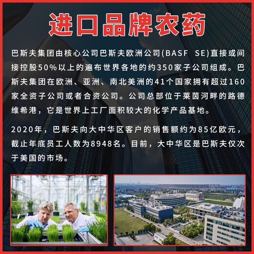 BASF 60% azoxystrobin, dipyraclostrobin, cucumber downy mildew, blight, anthrax pesticide fungicide 20g/bag