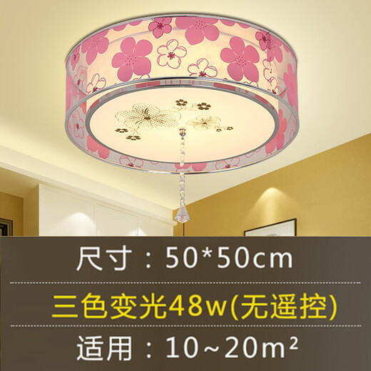 泰士隆卧室灯 led房间灯客厅灯浪漫温馨简约现代唯美婚房灯饰灯具吸顶灯 5024W 22三色50*