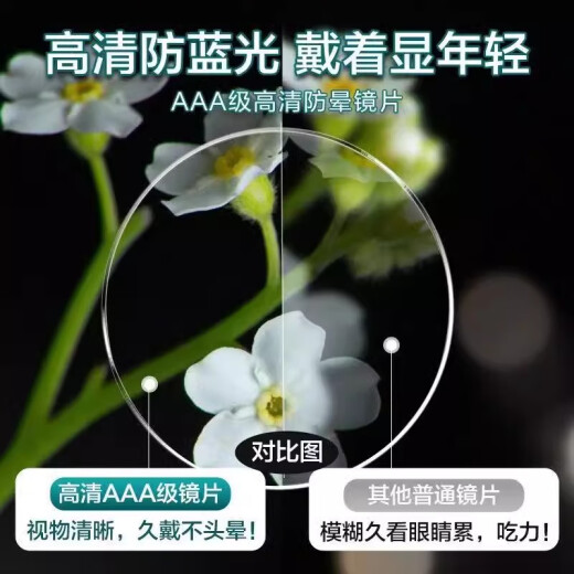 芬驰（FENCHI）时尚老花眼镜女高清防蓝光老人眼镜老花镜男看近专用抗疲劳年轻