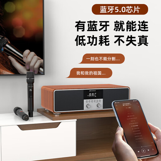 Shanshui T76S family ktv audio set TV karaoke amplifier audio all-in-one T76 desktop k song audio home TV Hifi wireless Bluetooth speaker subwoofer Shanshui T76S [2025 latest version]