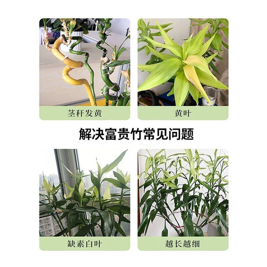 Devodo rich bamboo plant nutrient solution 500mL green plant potted flower fertilizer bamboo liquid fertilizer potted leaf fertilizer