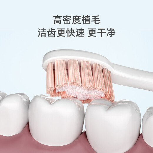 FLYCO electric toothbrush head compatible with model FT7105/FT7106/FT7205 TH01 romantic powder 1 pack