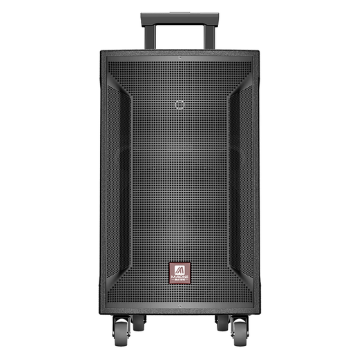 Manlong square dance audio high-power wireless microphone Bluetooth musical instrument Internet celebrity live broadcast mobile outdoor high-end karaoke machine singing trolley speaker W-12S audio dual microphone + gift package