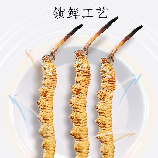 同仁堂品牌冬虫夏草5g断草滋补营养高端礼品礼物补品自用送礼北京同仁堂